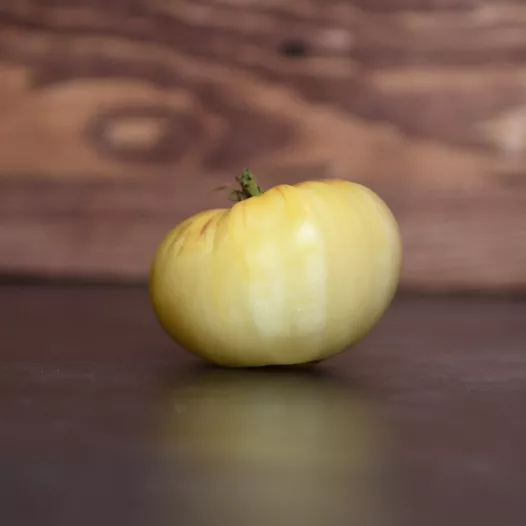 Graines bio de Tomate Etoile Blanche d'Anvers