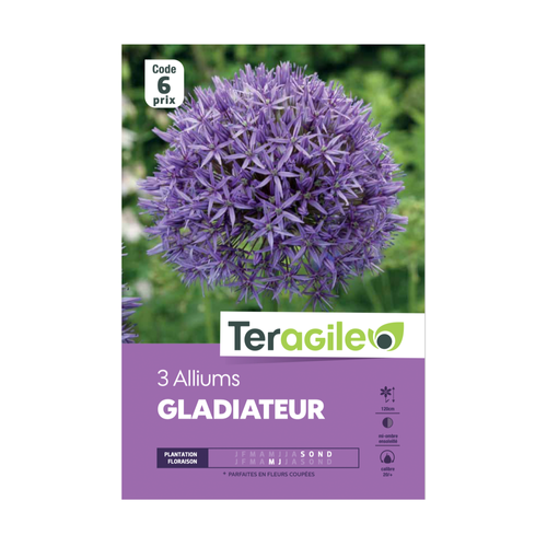 BULBES D'ALLIUMS 'GLADIATEUR' - TERAGILE® - X3