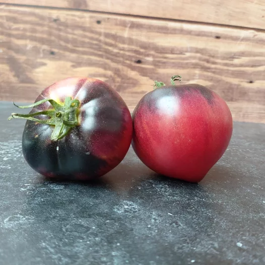 Tomate Cœur de Bœuf bleue | Semences biologiques et reproductibles