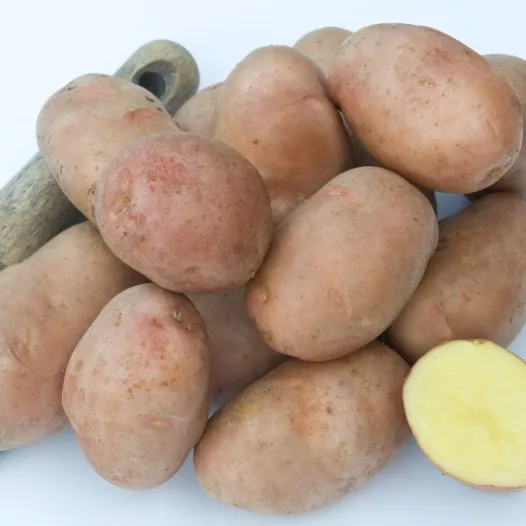 Pootgoed Rosabelle aardappel BIO - 5kg