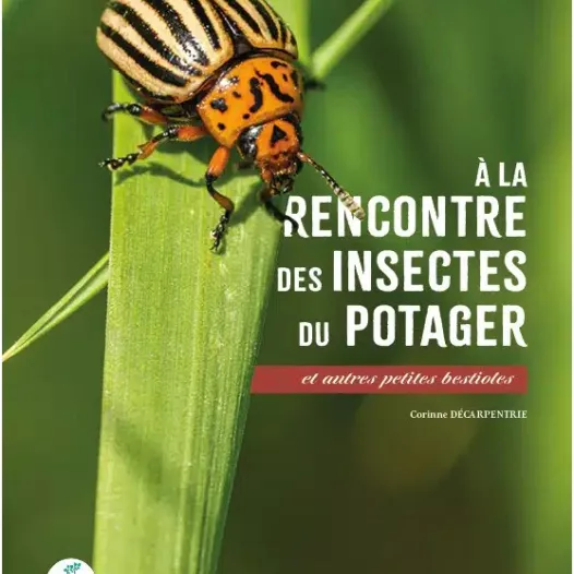 A la rencontre des insectes du potager | Livres