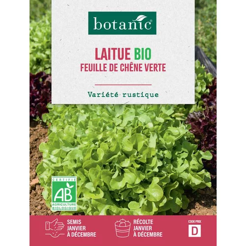 Sélection jardin：Graines de laitue feuille de chêne verte bio botanic® - graines à semer