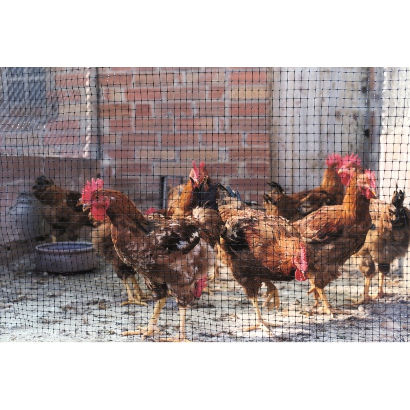 Filet solide anti-oiseaux et anti-taupes - maille 17x17mm - Avinet - au rouleau
