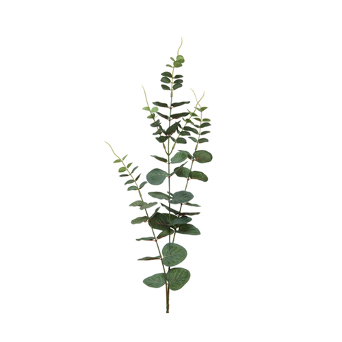 BRANCHE DÉCORATIVE EUCALYPTUS - H78CM