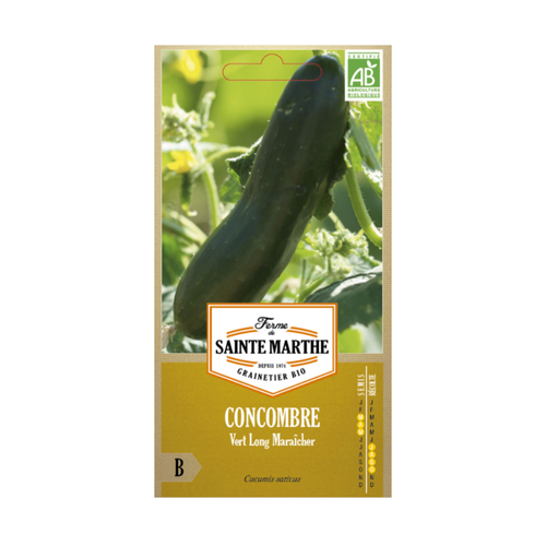 GRAINES CONCOMBRE VERT LONG MARAÎCHER BIO