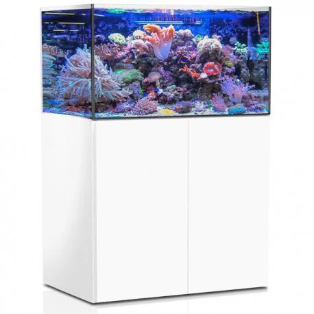 Bien pensé extérieur：Aquarium de 325 litres avec son meuble et sa cuve de filtration d'un volume de 55 litres