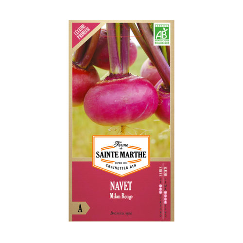 GRAINES NAVET MILAN ROUGE BIO
