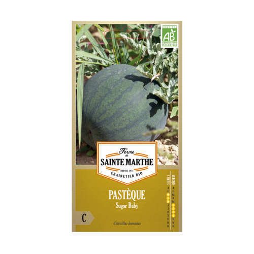 GRAINES PASTÈQUE SUGAR BABY BIO