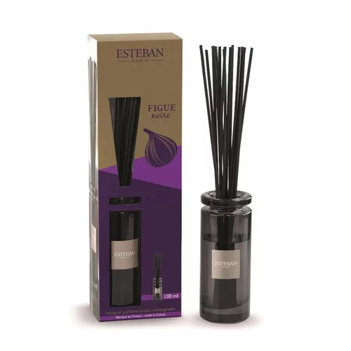 Extérieur sélection：Bouquet parfumé initial + recharge senteur figue noire Esteban - 100 ml
