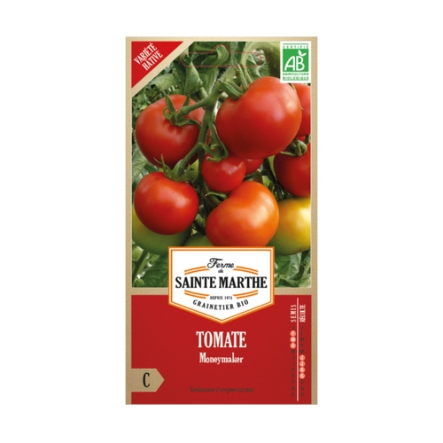 GRAINES TOMATE MONEYMAKER BIO