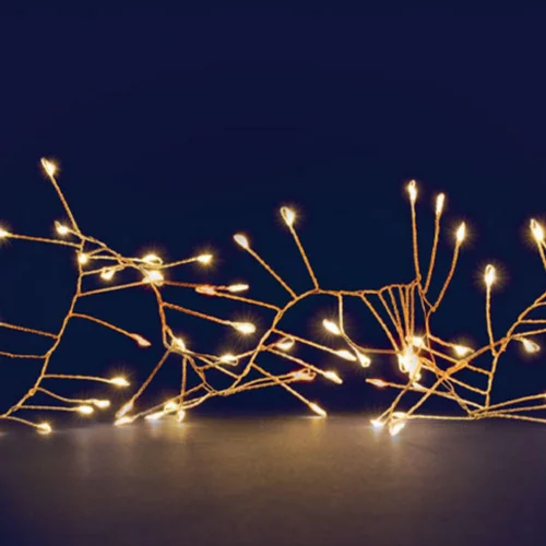 Jardin équipement：Guirlande lumineuse LED à lumière fixe blanc chaud sur secteur - 5 m