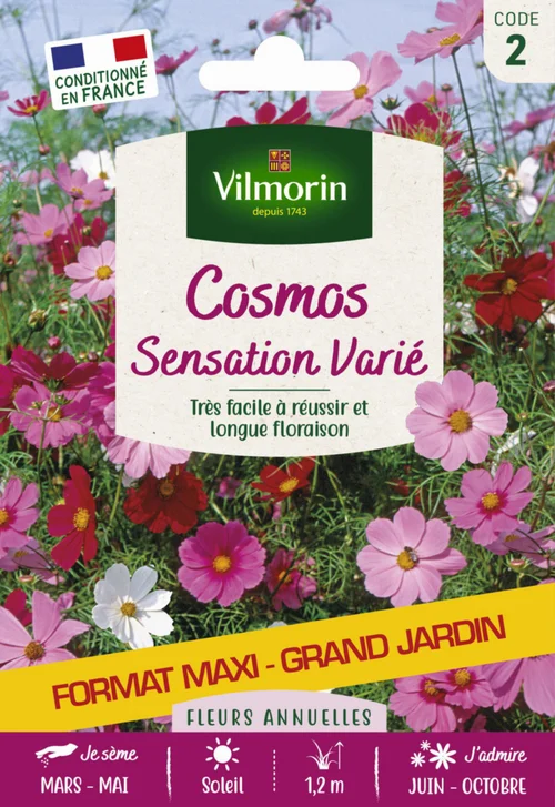 Déco pour le jardin:Cosmos Sensation variée Grand jardin Format maxi Vilmorin - graines à semer