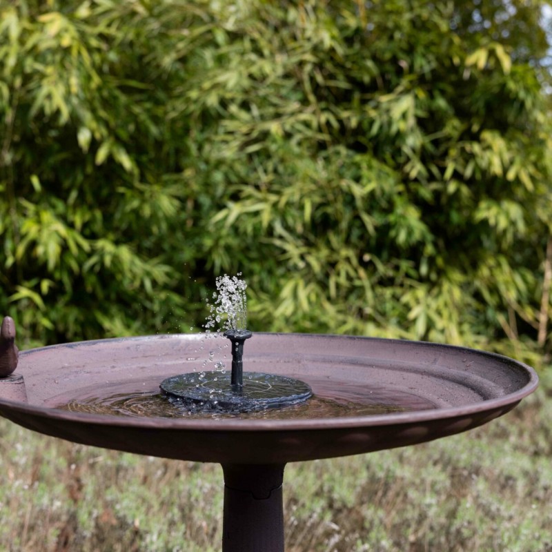 Fontaine solaire pour bain d'oiseau
