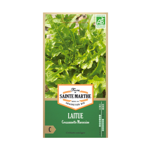 GRAINES LAITUE CRESSONNETTE MAROCAINE BIO