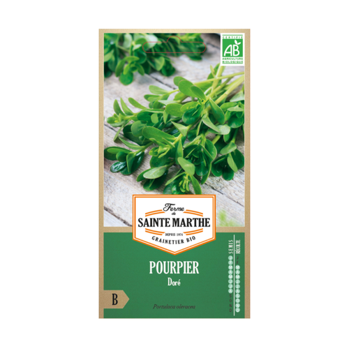GRAINES POURPIER DORÉ BIO