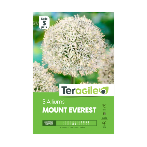 BULBES D'ALLIUMS 'MOUNT EVEREST' - TERAGILE® - X3