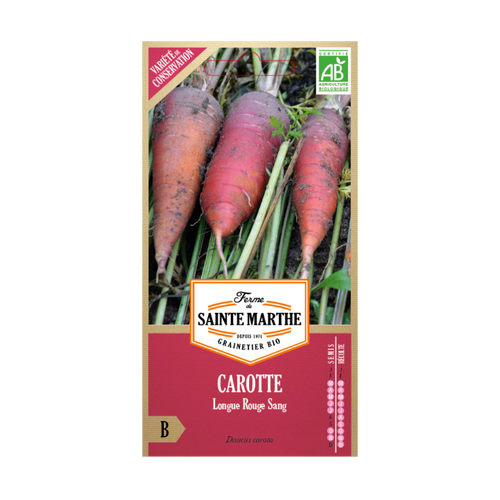 GRAINES CAROTTE LONGUE ROUGE SANG BIO