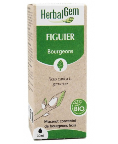 Herbalgem Gemmobase - Figuier bio Flacon compte gouttes - 30 ml