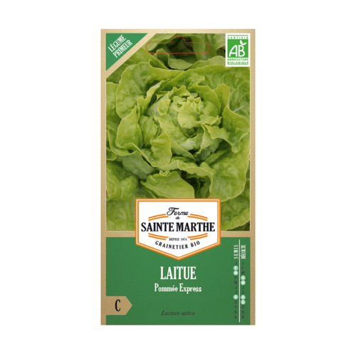 GRAINES LAITUE POMMÉE EXPRESS BIO