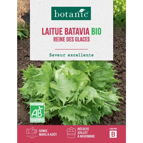 Jardin à découvrir：Graines de laitue batavia reine des glaces bio botanic® - graines batavia semer