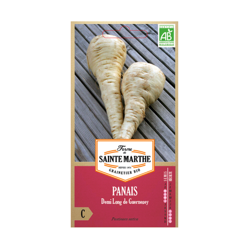 GRAINES PANAIS DEMI LONG DE GUERNESEY BIO