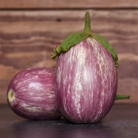Semences bio d'Aubergine Skoutari