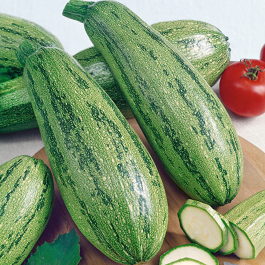 Biologische zaden van Courgette Caserta