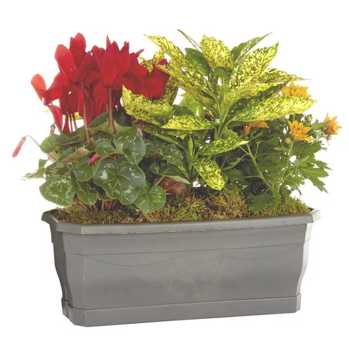 À découvrir pour le jardin：Composition d'extérieur mélange orange rouge - La jardinière de 40 cm