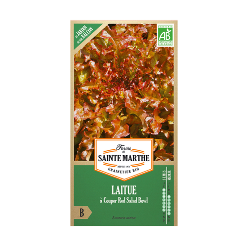 GRAINES LAITUE À COUPER RED SALAD BOWL BIO