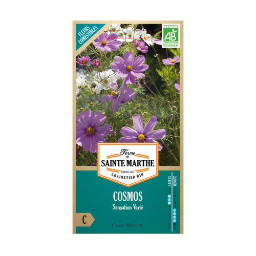 GRAINES COSMOS SENSATION VARIÉ BIO