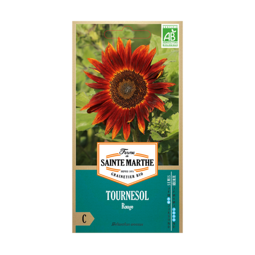 GRAINES TOURNESOL ROUGE BIO