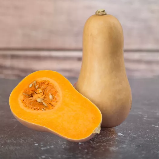 Biologische zaden van Muskuspompoen Butternut