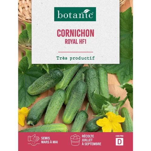 Sélection pratique：Graines de cornichon royal HF1 botanic® - graines à semer