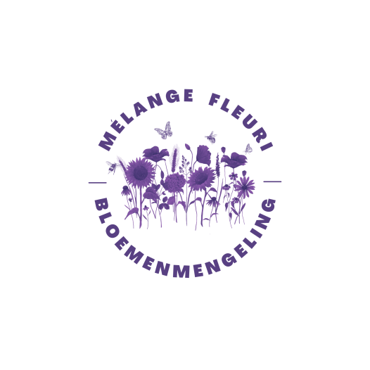 Semences Bio et reproductibles pour prairie sauvage