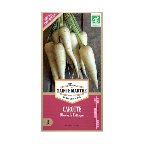 GRAINES CAROTTE BLANCHE DE KUTTINGEN BIO