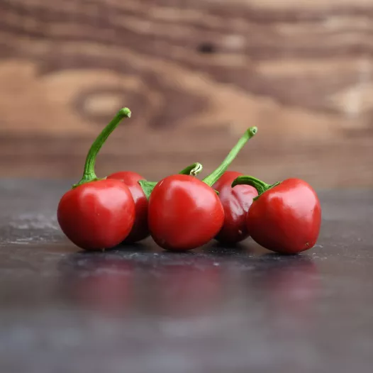 Poivron Sweet Cherry | Semences bio et reproductibles